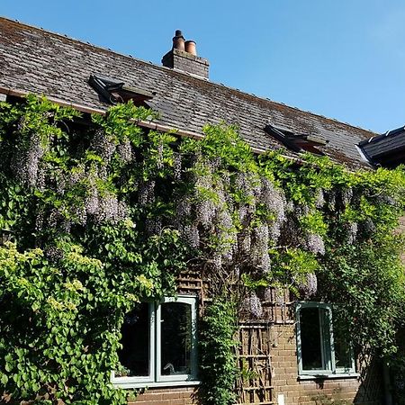 Ty Carreg Bed and Breakfast Llanwrtyd Wells Eksteriør billede