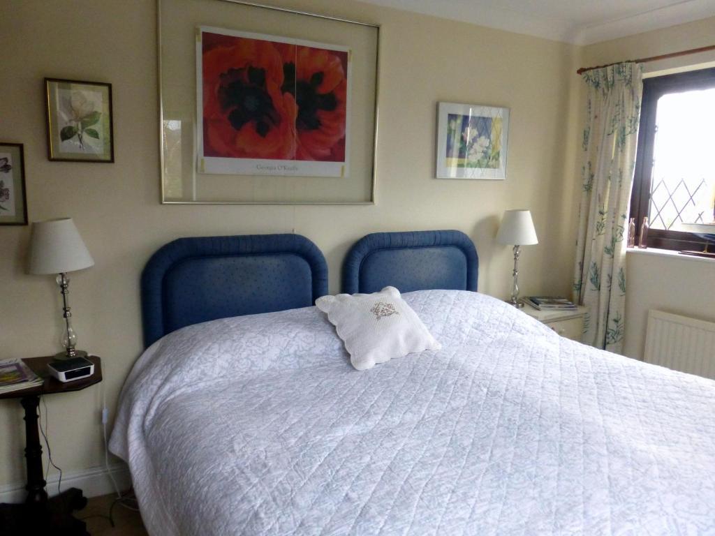 Ty Carreg Bed and Breakfast Llanwrtyd Wells Værelse billede