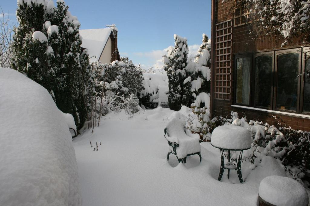 Ty Carreg Bed and Breakfast Llanwrtyd Wells Eksteriør billede